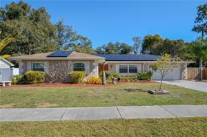 232 VAN GOGH CIRCLE