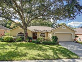 2986 WINDRIDGE OAKS DRIVE