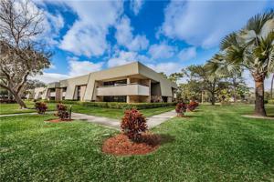 36750 US HIGHWAY 19 N