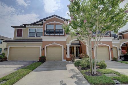 11539 CROWNED SPARROW LANE