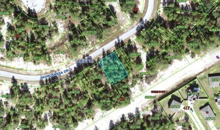 1332 HOMOSASSA DRIVE
