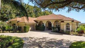 10642 SPRING LAKE DRIVE