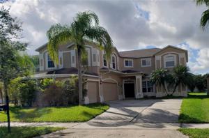 13145 FOX GLOVE STREET