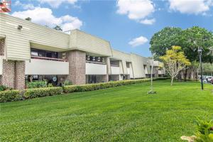 36750 US HIGHWAY 19 N