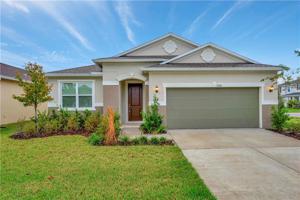 11528 PALMETTO SANDS COURT