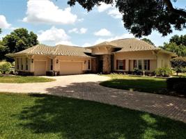 6153 SPINNAKER LOOP