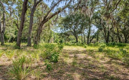 OLD EAST LAKE ROAD