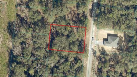 TBD Lot 21 HICKORY TRACK DRIVE