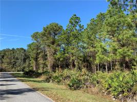 LOT 5 SAFFRON AVENUE