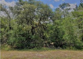 Lot 5 KUMQUAT AVENUE