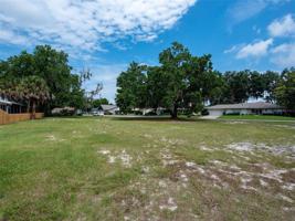35655 CYPRESS COURT