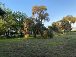 941 HARRELL AVE