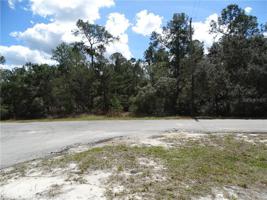 LOT 2 LARKSPUR AVE, EUSTIS FL, 32736