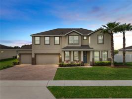 713 GRASSY STONE DRIVE