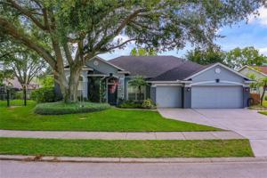 12339 LAKE VALLEY