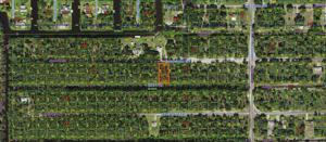 1017 POINCIANA DRIVE