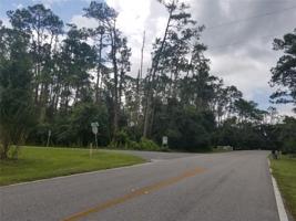 13403 S LAKE MARY JANE