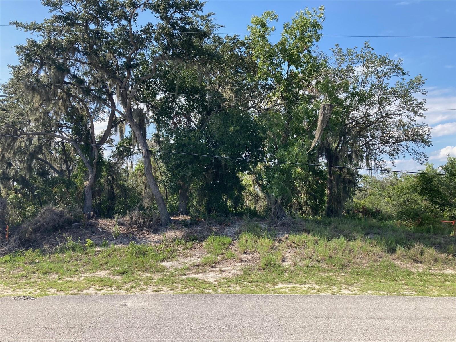 Image 1 Image 1