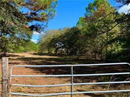 Lot 4 TAMARAC STREET