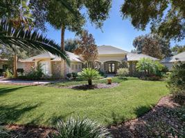 5940 SPINNAKER LOOP