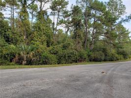 TAMARAC STREET