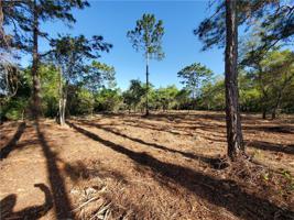 Lot 9 ROYAL TRAILS