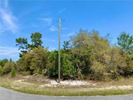 Lot 8 LOCUST STREET