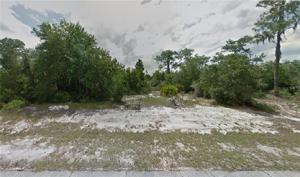 1308 HOMOSASSA COURT