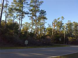 12900 LAKE MARY JANE ROAD