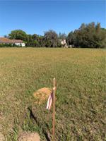 11707 THONOTOSASSA ROAD