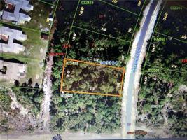 Blk 324 Lot 21 ORLANDO DRIVE