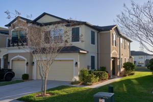 11641 CROWNED SPARROW LANE