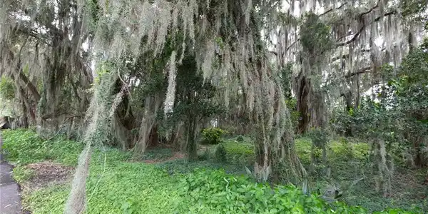 LAKE HOWARD DRIVE