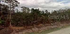 604 KISSIMMEE LANE