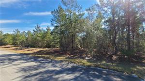 1334 HOMOSASSA DRIVE