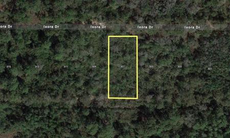 307 IXORA DRIVE