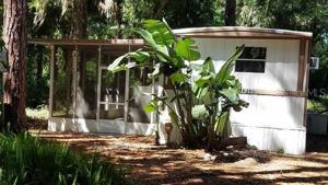 13401 PALM DRIVE