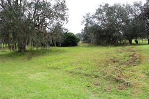 36642 HONEY TREE COURT