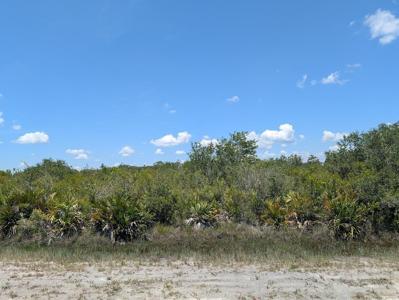 SARASOTA DRIVE