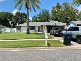 9235 PALM TREE