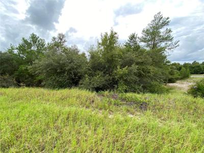 1362 HOMOSASSA DRIVE