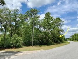 Lot 16 POINCIANA STREET