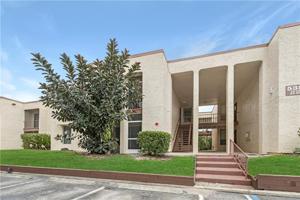 538 ORANGE DRIVE