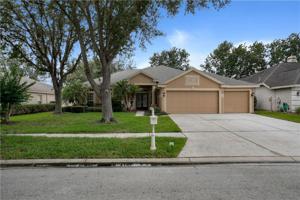 10233 SHADOW BRANCH DRIVE