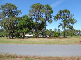 34966 GOLDEN TREE DRIVE