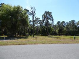 34961 GOLDEN TREE DRIVE