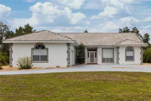 2161 ALLAMANDA
