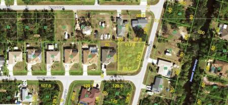 11428 STARFLOWER AVENUE