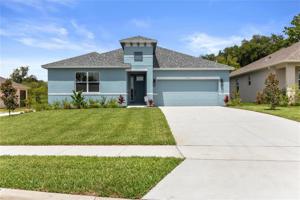 10443 SPRING LAKE DRIVE