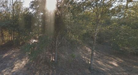 304 CALIFORNIA AVENUE